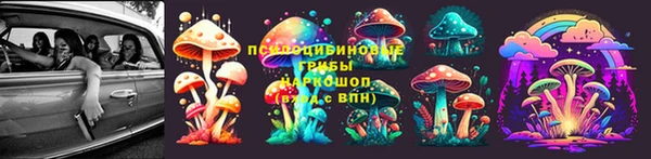 мяу мяу мука Гусиноозёрск