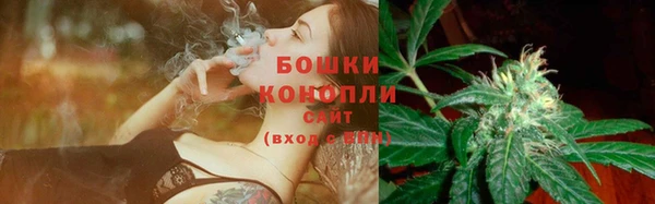 мяу мяу мука Гусиноозёрск